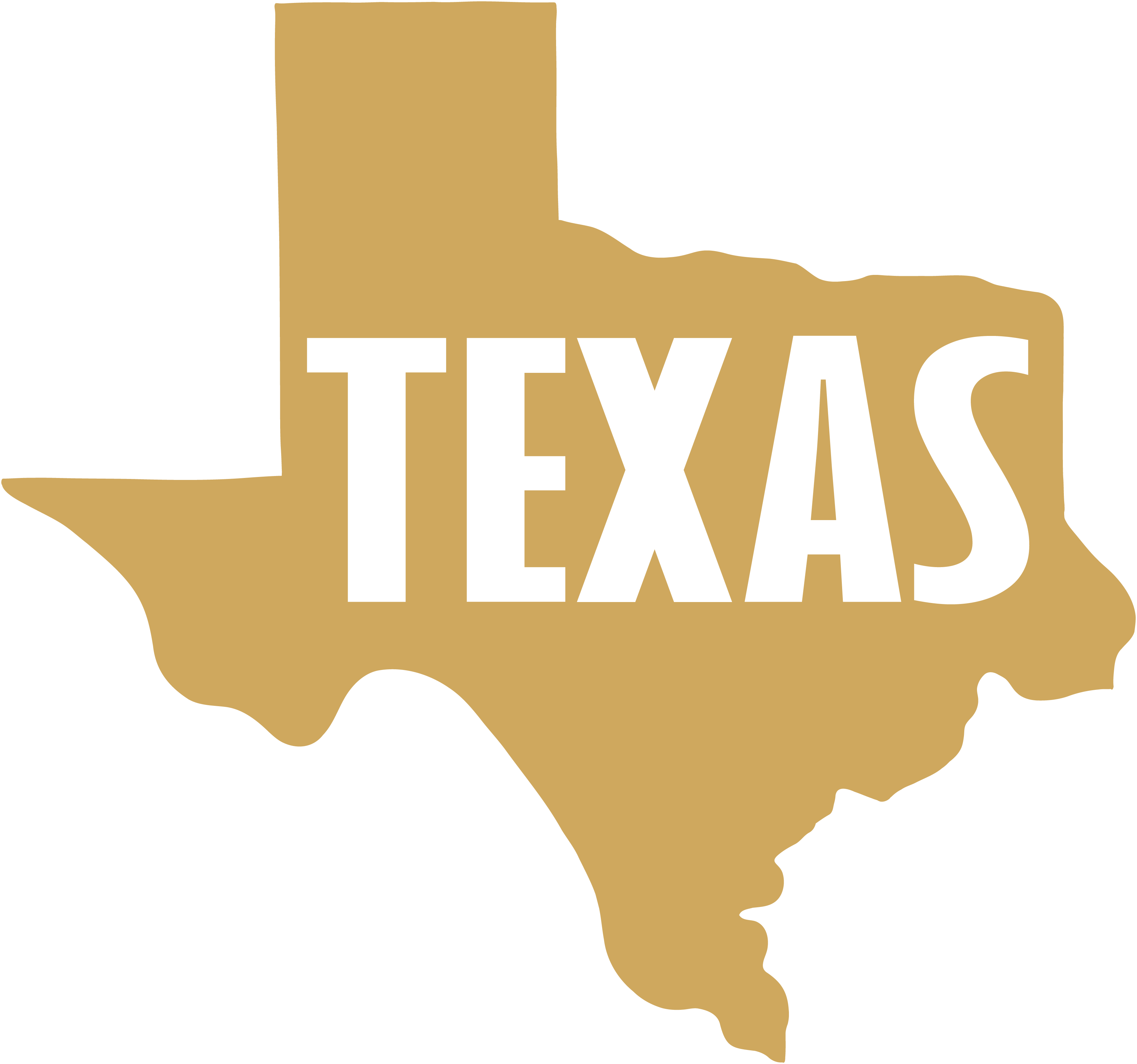 Texas Team